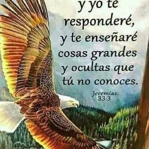 Meet your Posher, Yanira